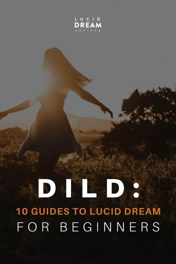 DILD: 10 Guides On How To Lucid Dream For Beginners - Lucid Dream Society